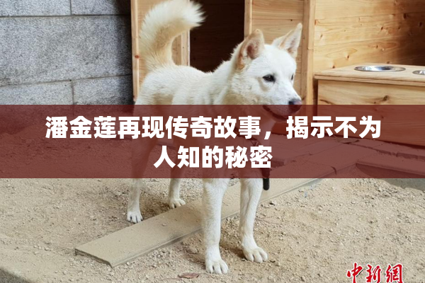 潘金莲再现传奇故事，揭示不为人知的秘密