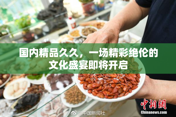 国内精品久久，一场精彩绝伦的文化盛宴即将开启