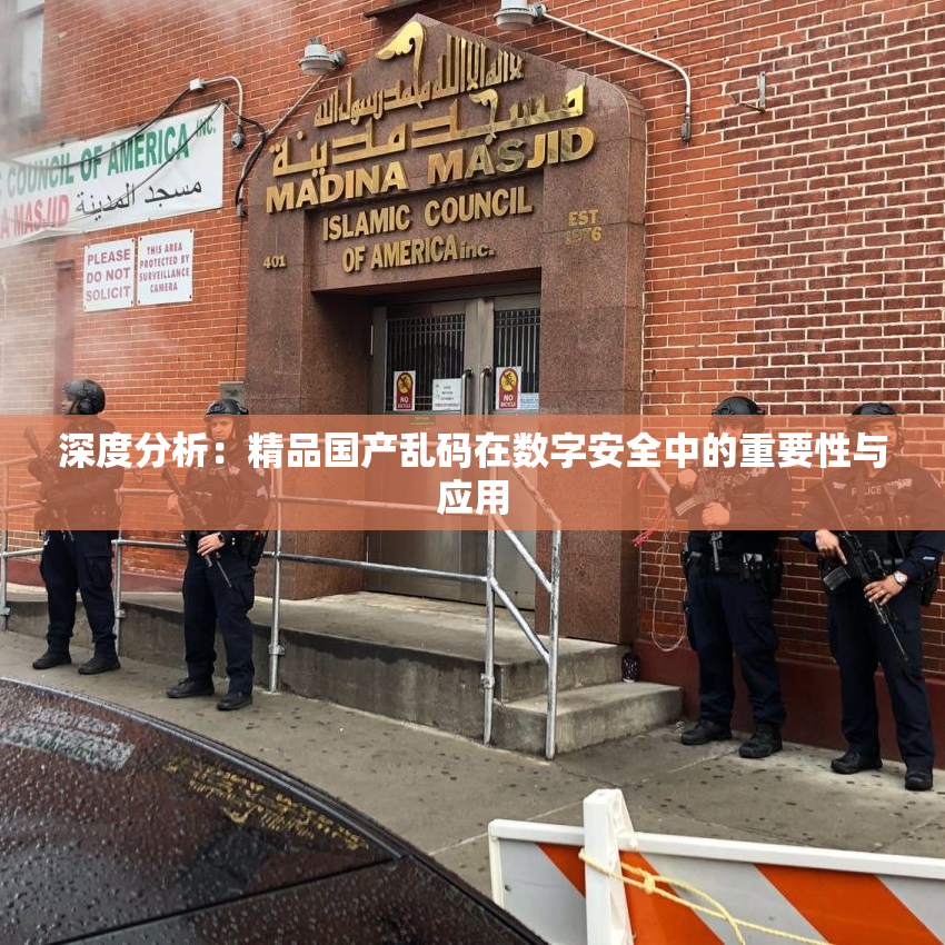 深度分析：精品国产乱码在数字安全中的重要性与应用