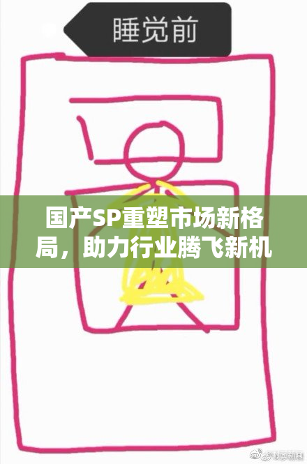 国产SP重塑市场新格局，助力行业腾飞新机遇
