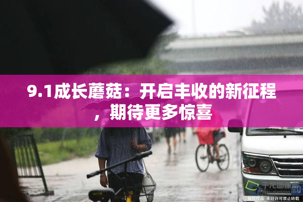 9.1成长蘑菇：开启丰收的新征程，期待更多惊喜