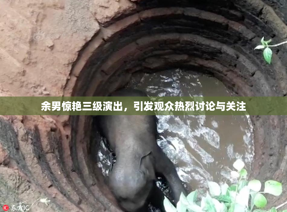 余男惊艳三级演出，引发观众热烈讨论与关注