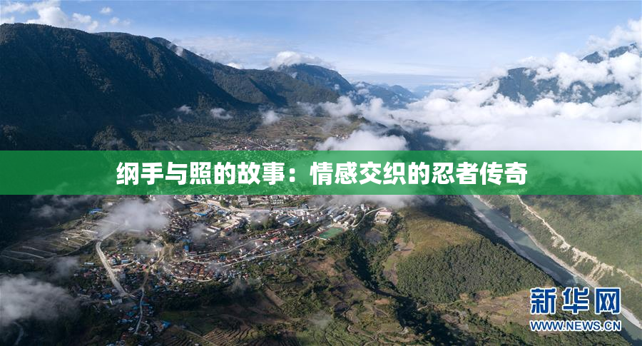 纲手与照的故事：情感交织的忍者传奇