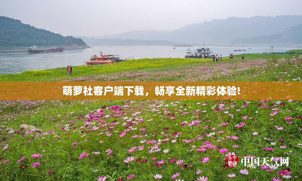 萌萝社客户端下载，畅享全新精彩体验!