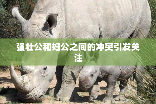 强壮公和妇公之间的冲突引发关注