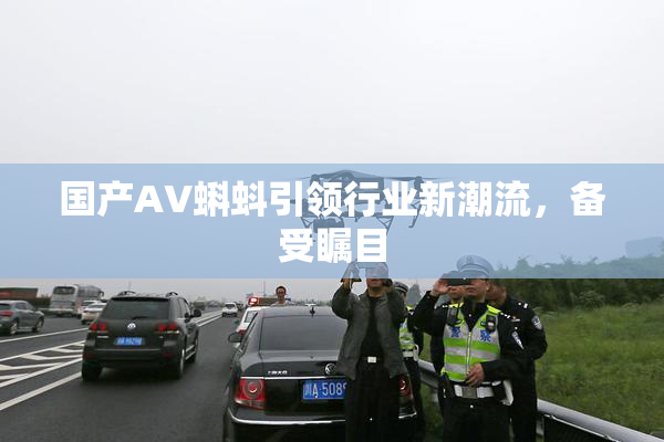 国产AV蝌蚪引领行业新潮流，备受瞩目