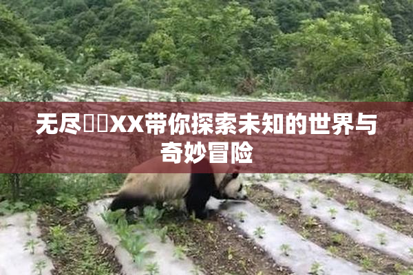 无尽❌‌XX带你探索未知的世界与奇妙冒险