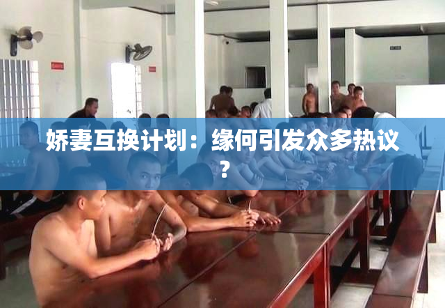 娇妻互换计划：缘何引发众多热议？