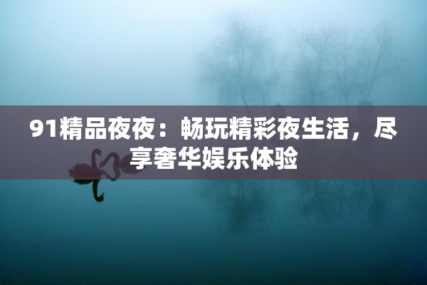 91精品夜夜：畅玩精彩夜生活，尽享奢华娱乐体验