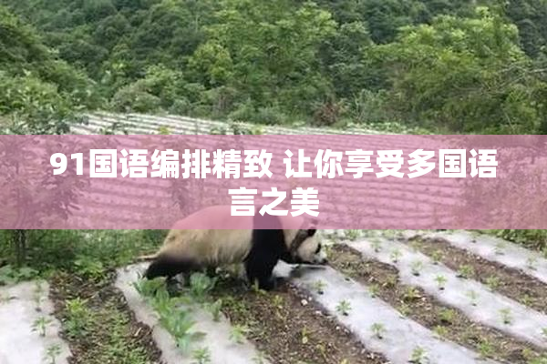91国语编排精致 让你享受多国语言之美