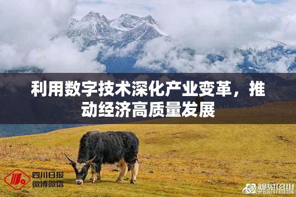 利用数字技术深化产业变革，推动经济高质量发展