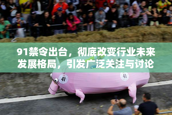 91禁令出台，彻底改变行业未来发展格局，引发广泛关注与讨论