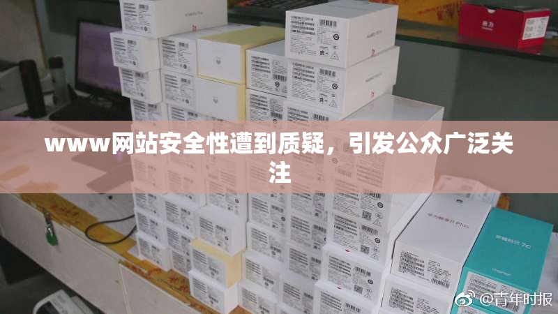 www网站安全性遭到质疑，引发公众广泛关注