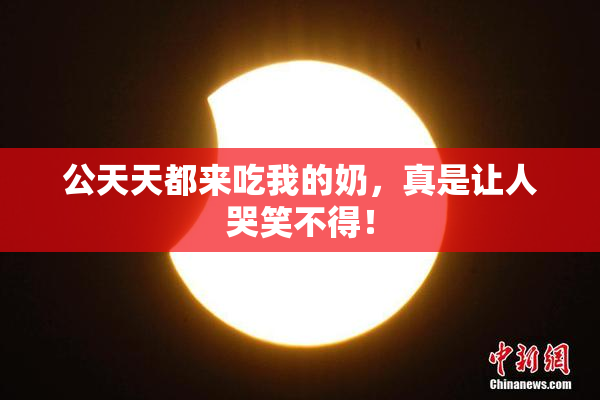 公天天都来吃我的奶，真是让人哭笑不得！