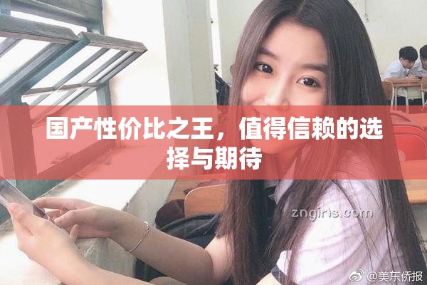 国产性价比之王，值得信赖的选择与期待