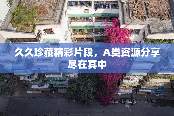 久久珍藏精彩片段，A类资源分享尽在其中