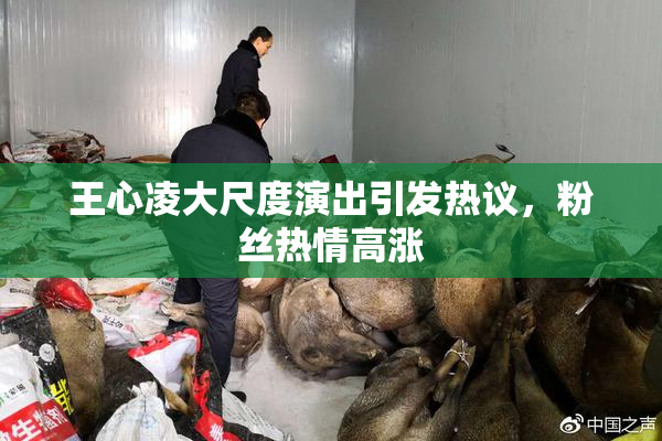 王心凌大尺度演出引发热议，粉丝热情高涨