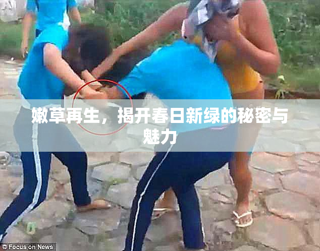 嫩草再生，揭开春日新绿的秘密与魅力