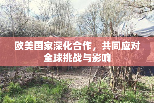 欧美国家深化合作，共同应对全球挑战与影响