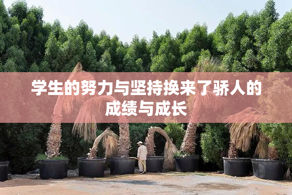 学生的努力与坚持换来了骄人的成绩与成长