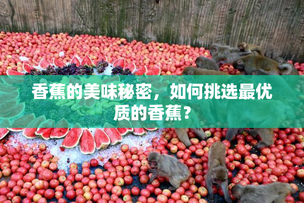 香蕉的美味秘密，如何挑选最优质的香蕉？