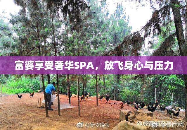 富婆享受奢华SPA，放飞身心与压力