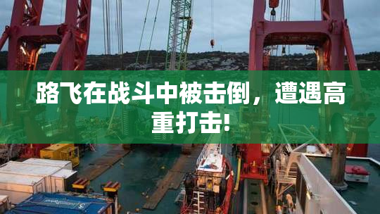 路飞在战斗中被击倒，遭遇高重打击!