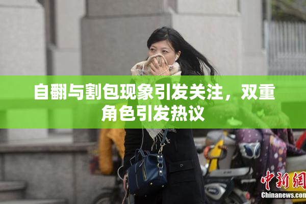 自翻与割包现象引发关注，双重角色引发热议