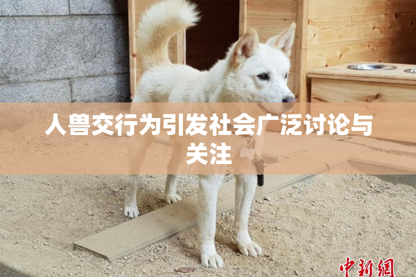 人兽交行为引发社会广泛讨论与关注