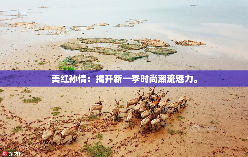 美红孙倩：揭开新一季时尚潮流魅力。