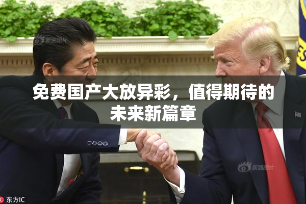 免费国产大放异彩，值得期待的未来新篇章