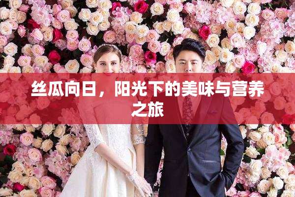 丝瓜向日，阳光下的美味与营养之旅