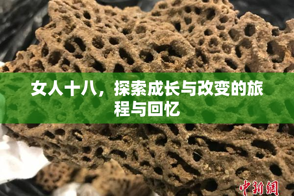 女人十八，探索成长与改变的旅程与回忆