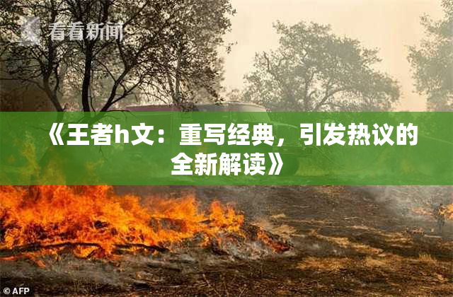 《王者h文：重写经典，引发热议的全新解读》