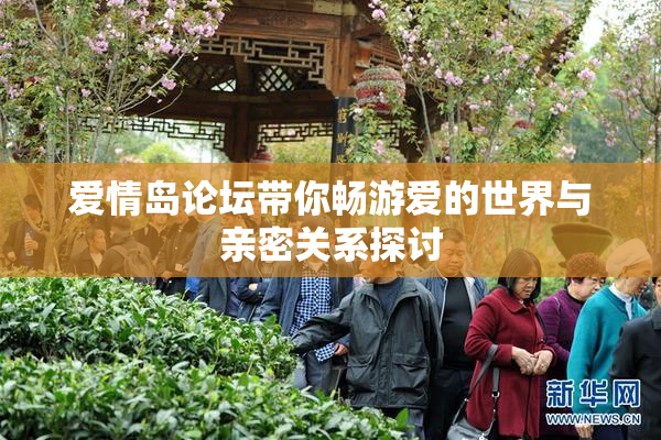 爱情岛论坛带你畅游爱的世界与亲密关系探讨