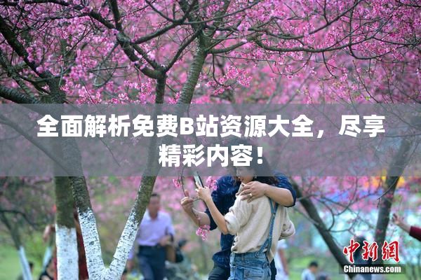 全面解析免费B站资源大全，尽享精彩内容！