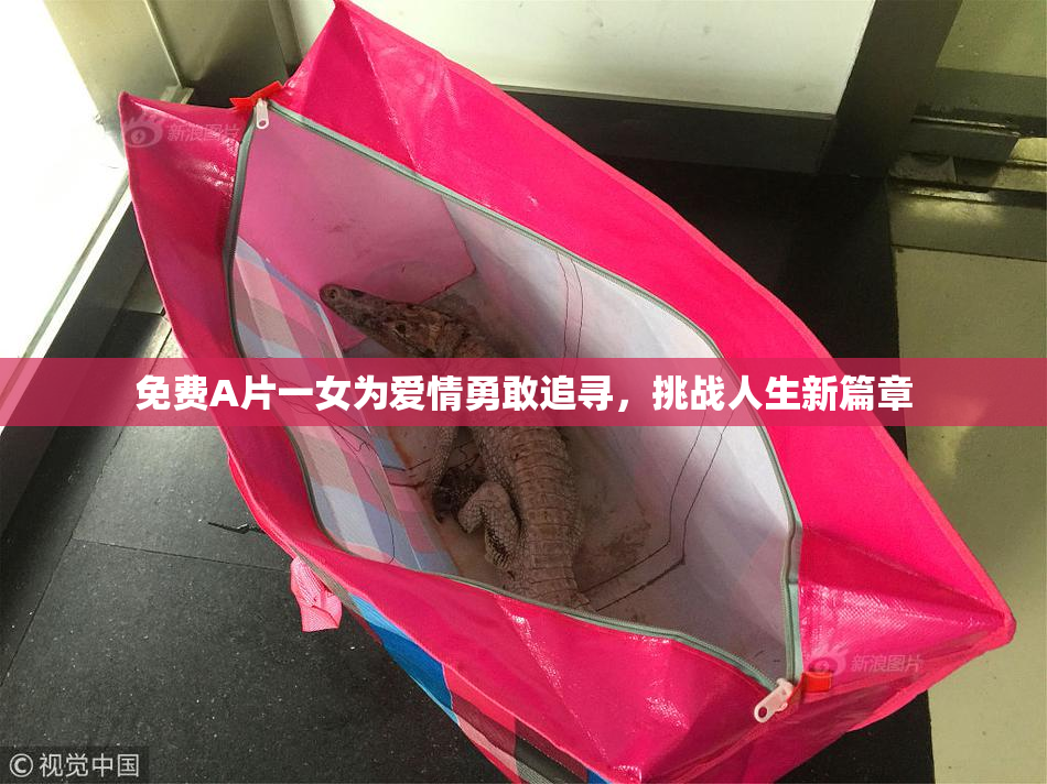 免费A片一女为爱情勇敢追寻，挑战人生新篇章