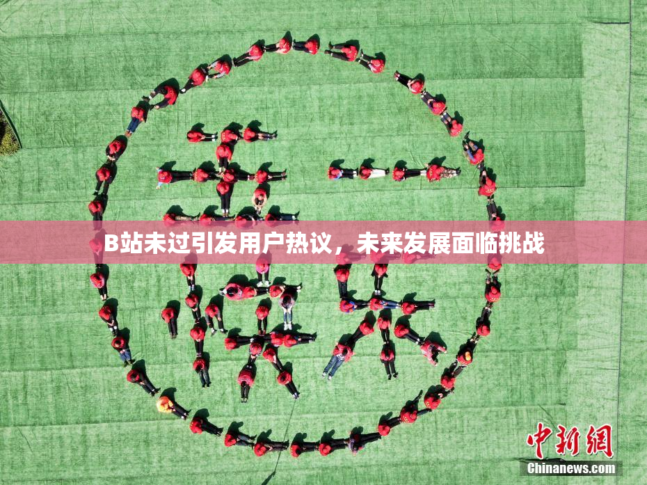 B站未过引发用户热议，未来发展面临挑战