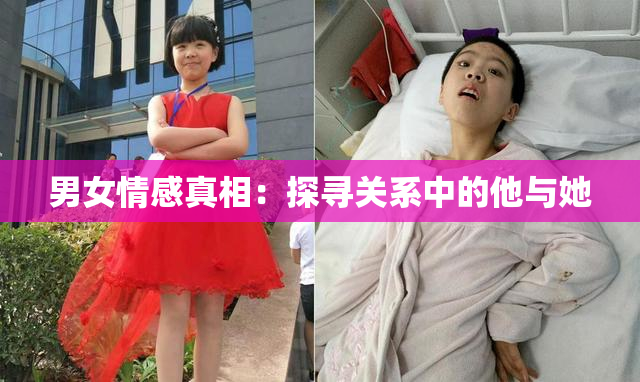 男女情感真相：探寻关系中的他与她