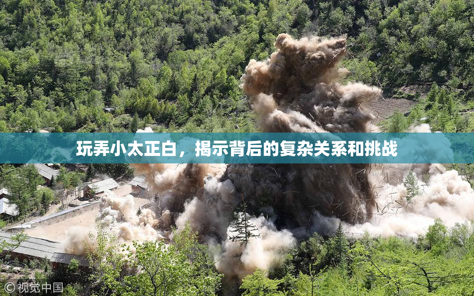玩弄小太正白，揭示背后的复杂关系和挑战