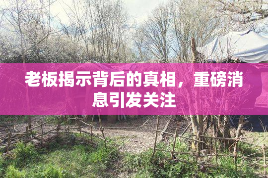 老板揭示背后的真相，重磅消息引发关注