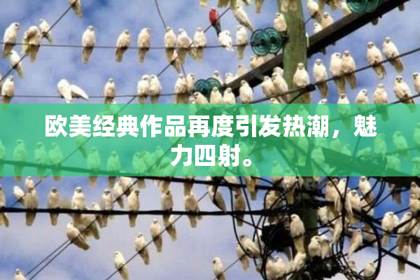 欧美经典作品再度引发热潮，魅力四射。