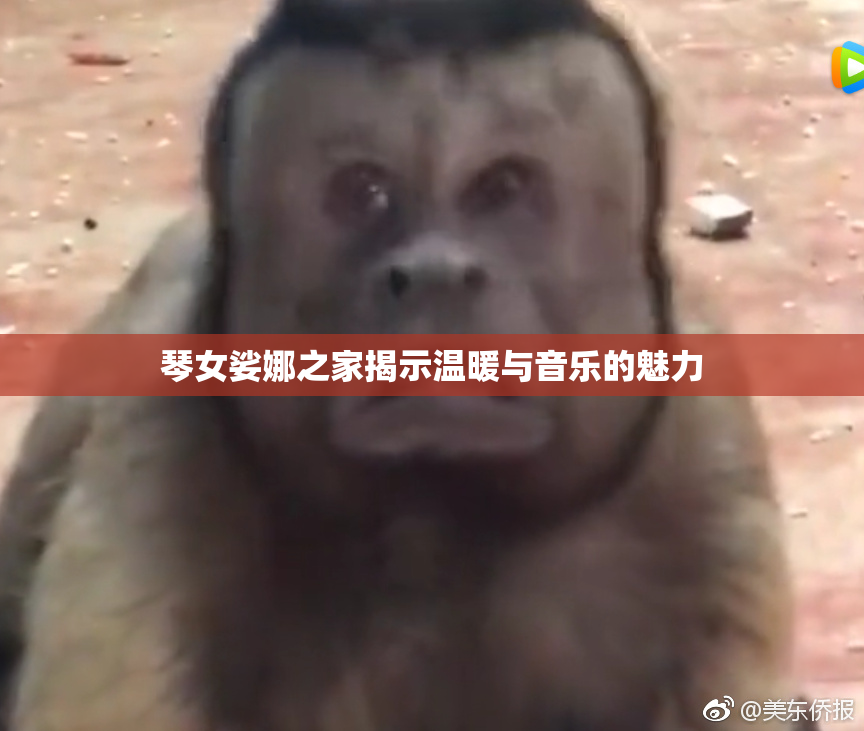 琴女娑娜之家揭示温暖与音乐的魅力
