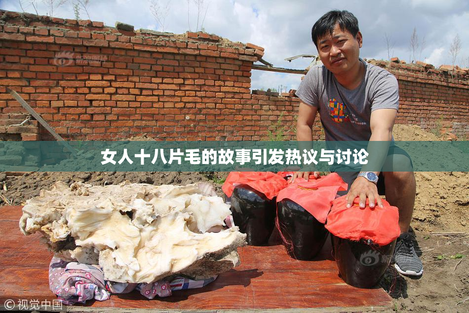 女人十八片毛的故事引发热议与讨论