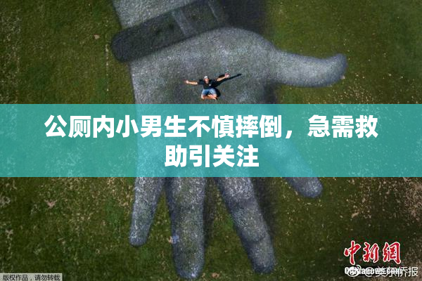 公厕内小男生不慎摔倒，急需救助引关注