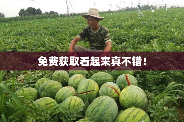 免费获取看起来真不错！