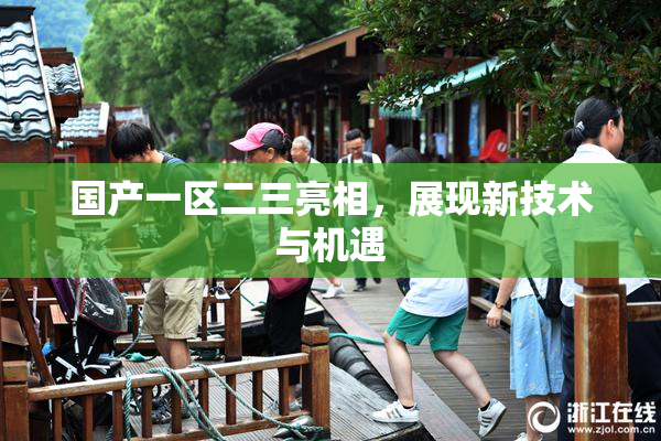 国产一区二三亮相，展现新技术与机遇