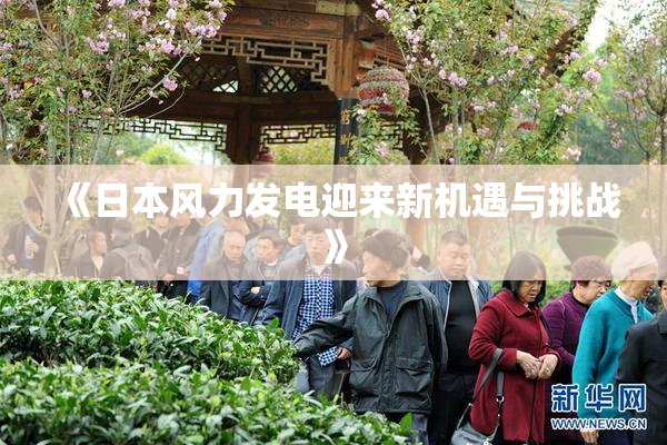 《日本风力发电迎来新机遇与挑战》