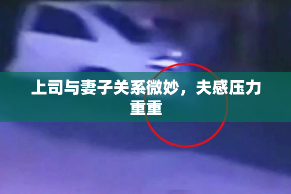 上司与妻子关系微妙，夫感压力重重