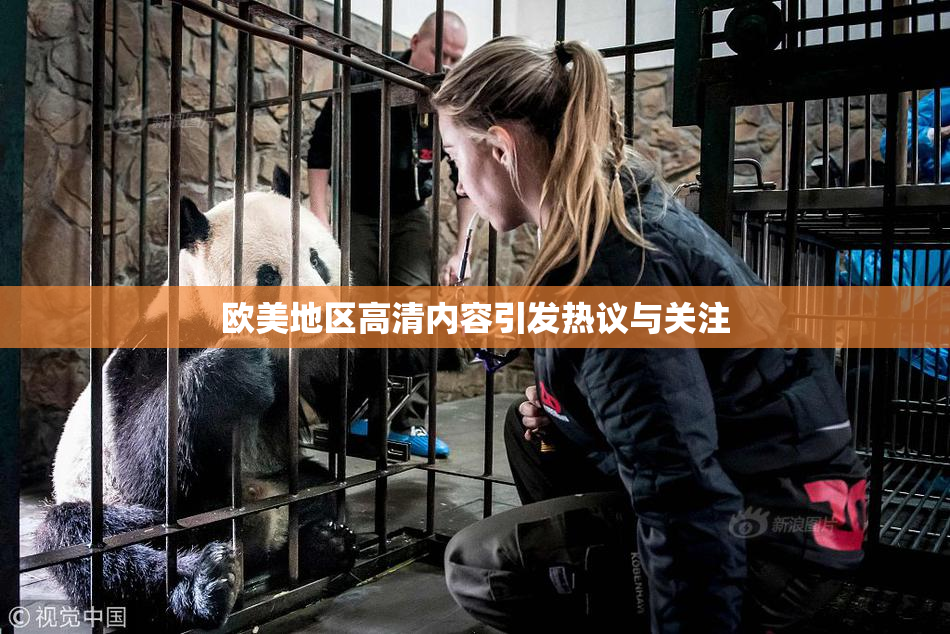 欧美地区高清内容引发热议与关注